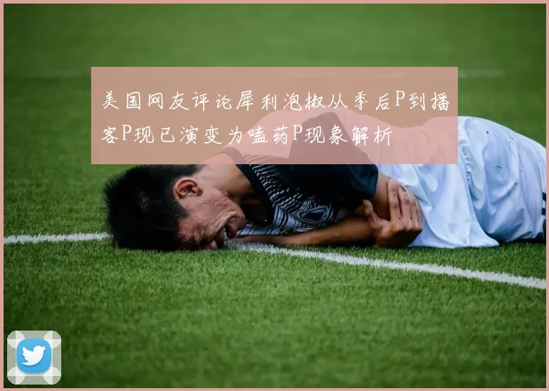 美国网友评论犀利泡椒从季后P到播客P现已演变为嗑药P现象解析