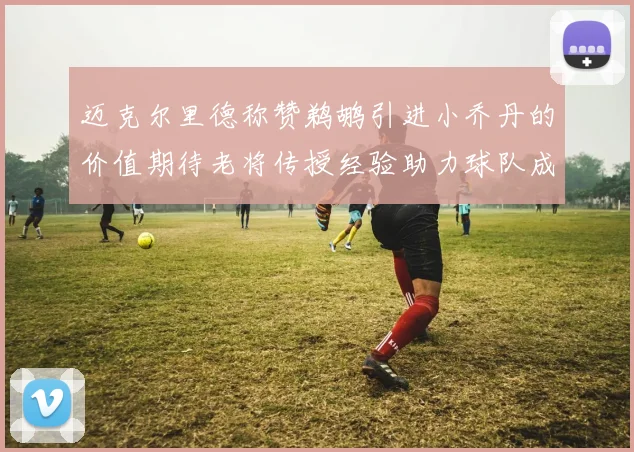 迈克尔里德称赞鹈鹕引进小乔丹的价值期待老将传授经验助力球队成长